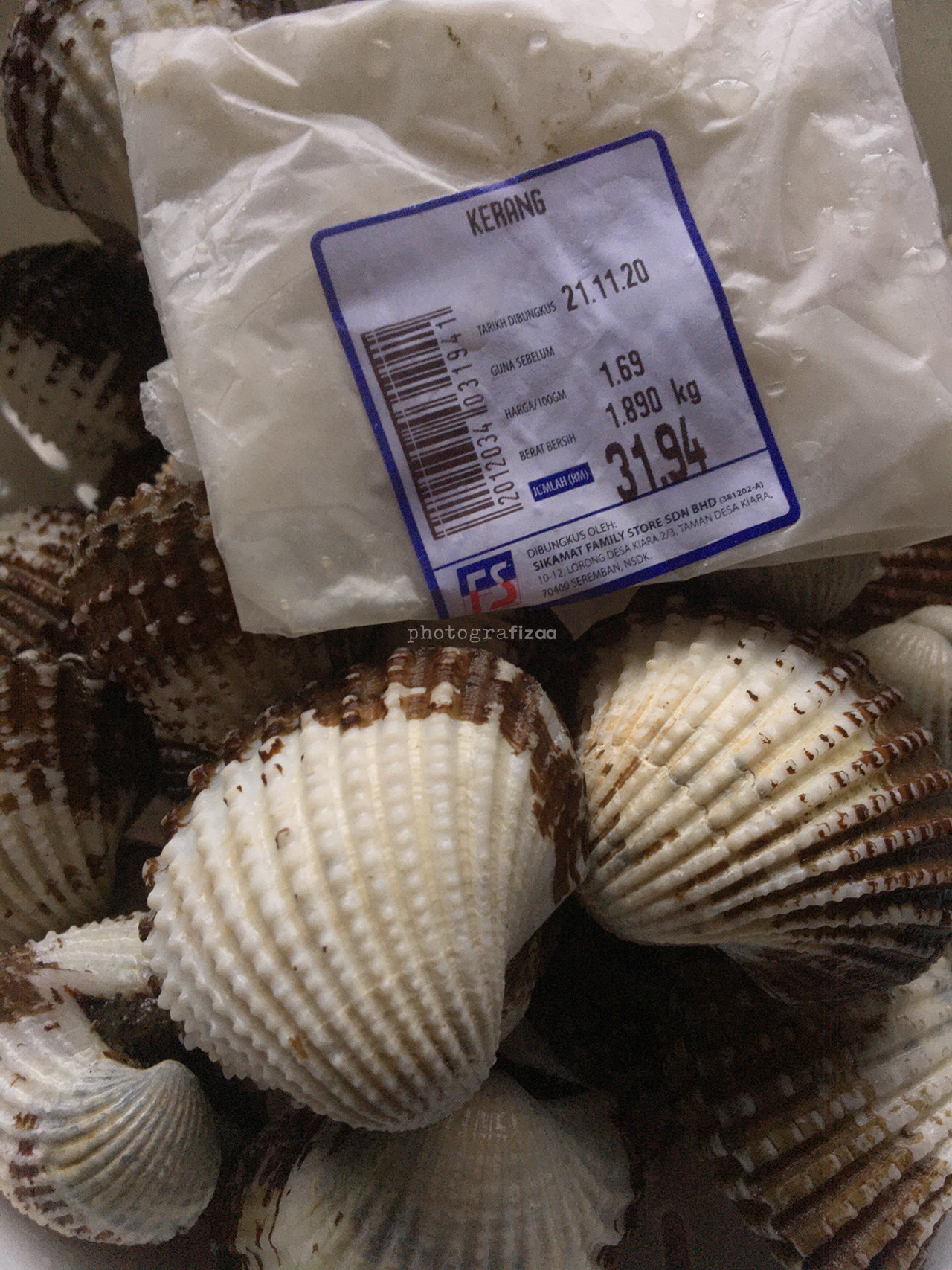 Kerang Besar Kerang Besar