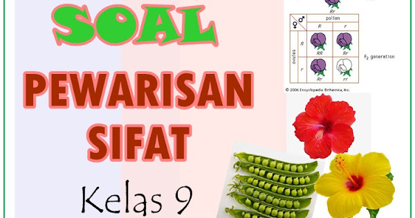 Bimbel Jakarta Timur