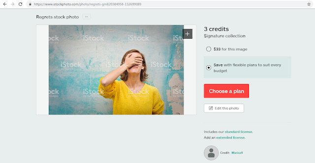 Berapa Penghasilan dari Menjual Foto Online? Wira Usaha