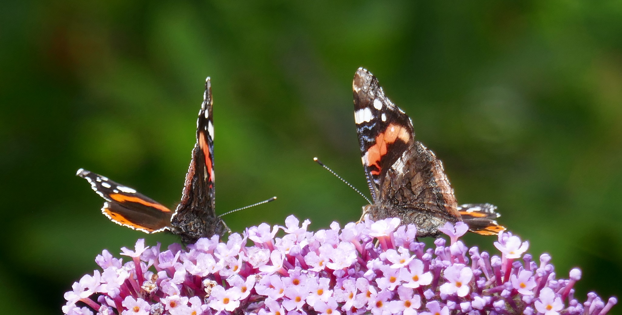 Best Part Of The Day best-part-of-the-day