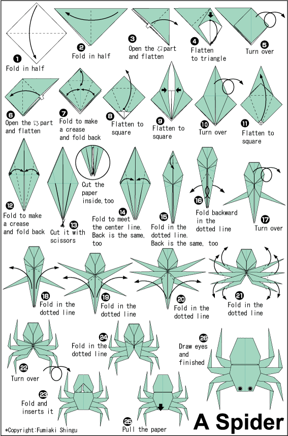 Spider Easy Origami instructions For Kids