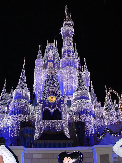 Cinderella Castle Dream Lights Icicles Christmas Magic Kingdom Disney World