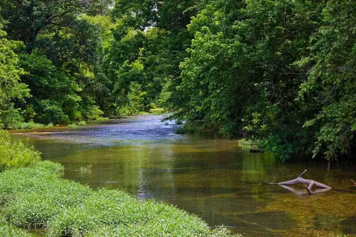 Ratgeber und Influencer - Fabel Wahrheit 2 Ratgeber Influencer Fluss