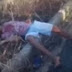 Vídeo: Integrantes de facção criminosa executam jovem e comemoram morte do rival