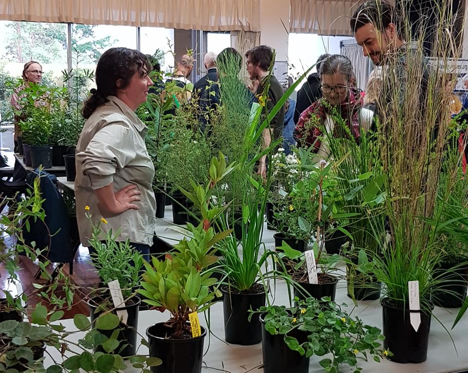 Resources where to buy local native plants Growing Illawarra Natives