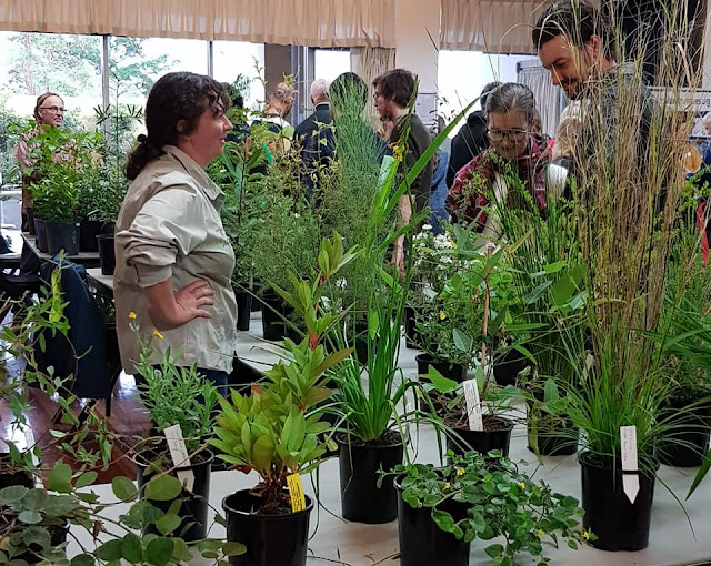 Resources where to buy local native plants Growing Illawarra Natives