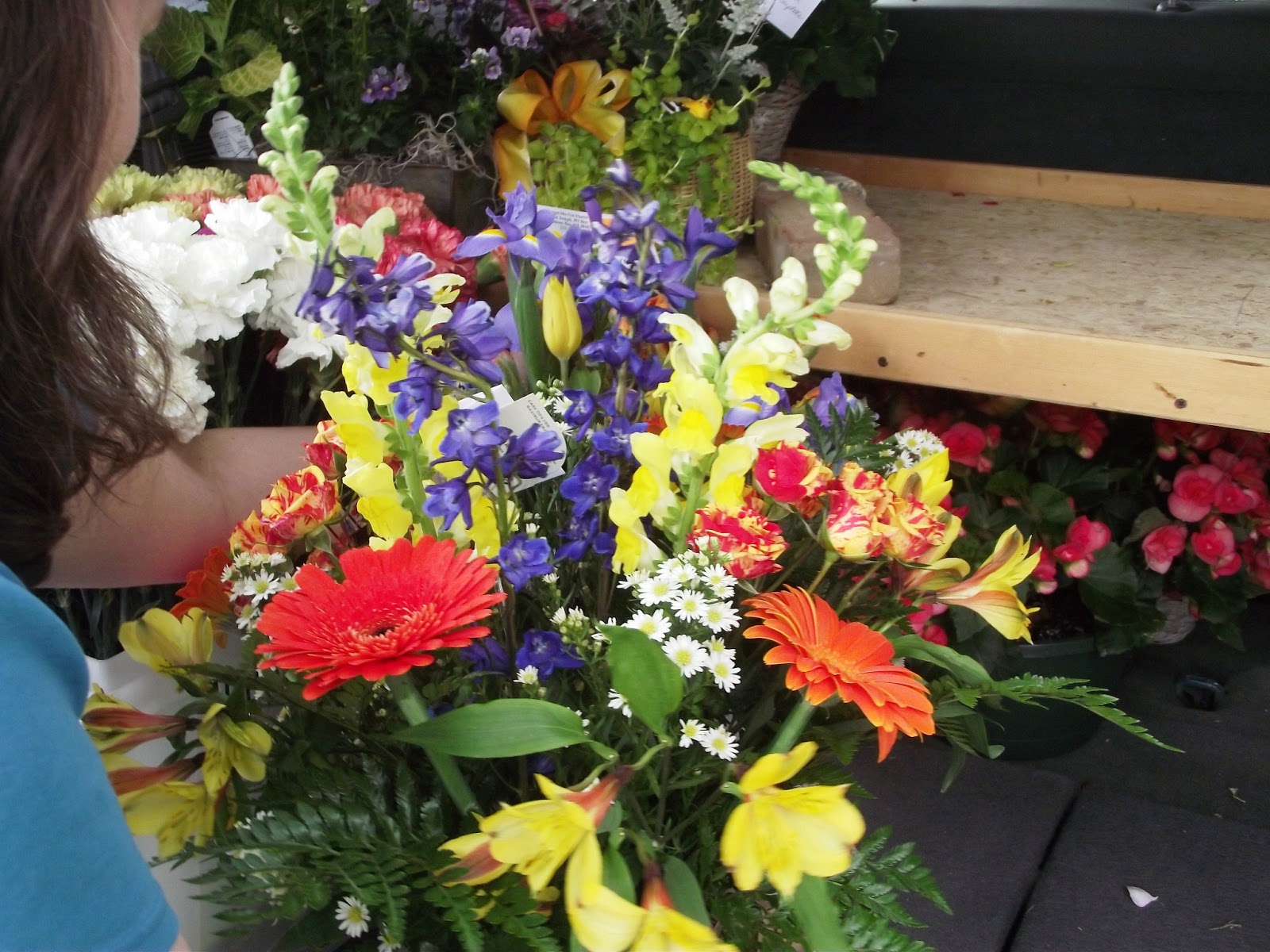 Anchor Cottage Freshwater Decor Suttons Bay In Living Color