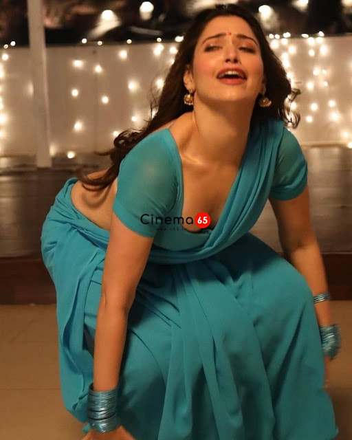 TAMANNAH BHATIA flaunting her incredible curves in saree from F2 movie