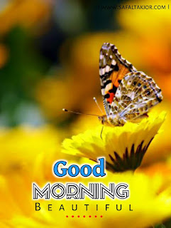 good morning flowers photo images