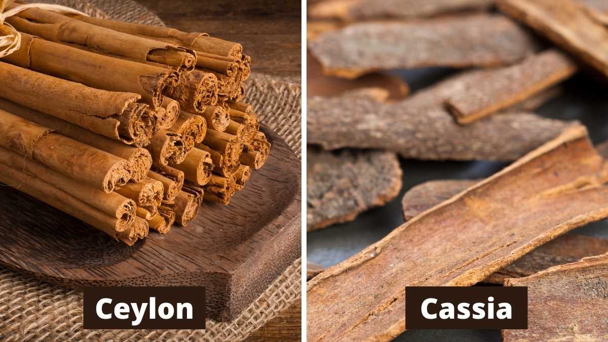 ceylon vs cassia