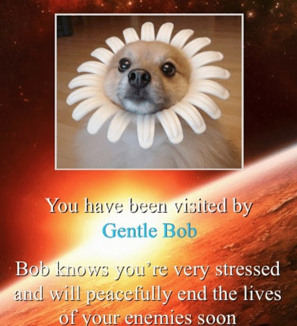 Gentle Bob Meme Picture