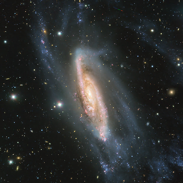 Spiral Galaxy NGC 3981