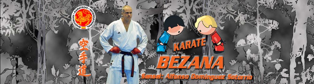 CLUB DE KARATE BEZANA