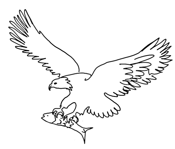 eagle coloring pages animal planet - photo #9