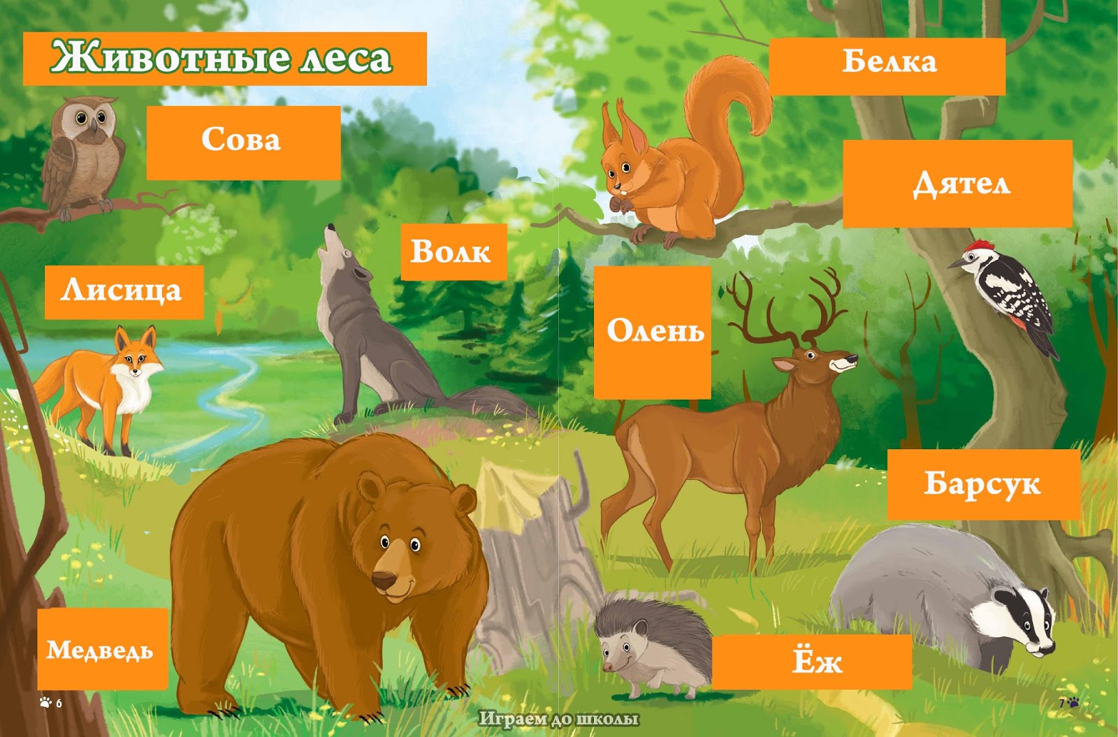 Лесные животные названия