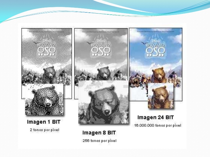 Terminología Básica Imagen Digital | El mundo de la informática