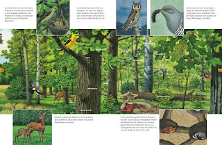 Blick ins Buch Wo Biber und Buntspecht leben. Tiere in Wald und Fluss