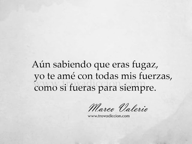 Aún sabiendo que eras fugaz yo te amé como si fuera para siempre