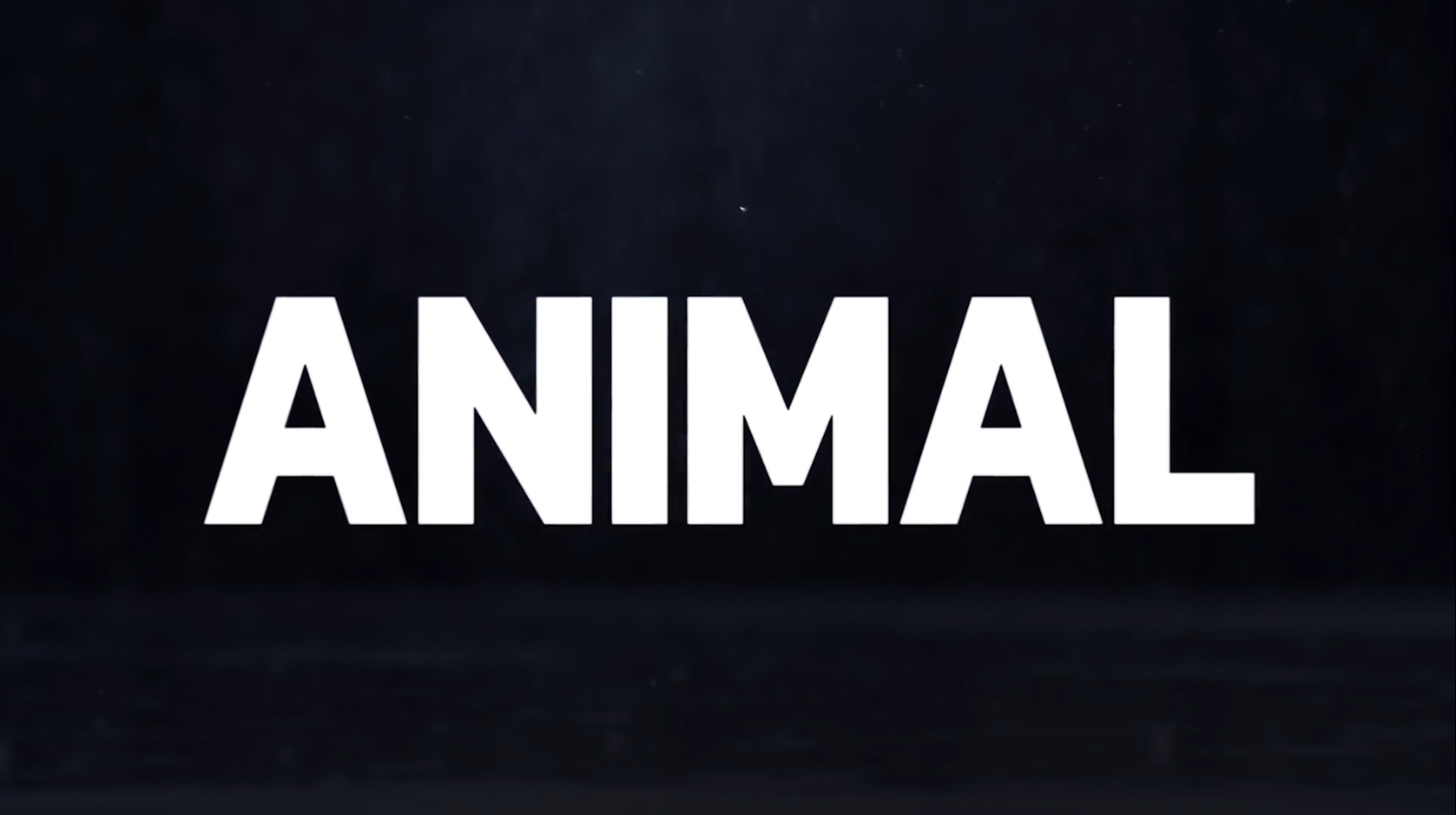 Netflix Animal