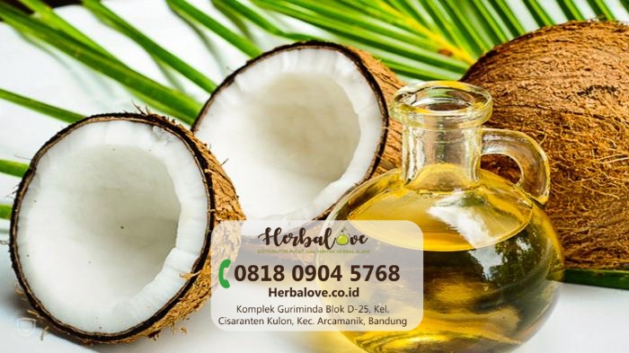 supplier minyak kelapa Medan