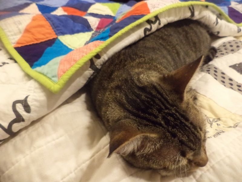 Kat & Cat Quilts "It's a Girl!" baby gifts