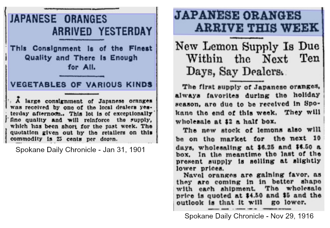 Inkwell Inspirations What Happened to Christmas Oranges?