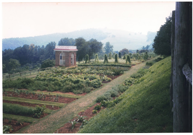 Monticello garden