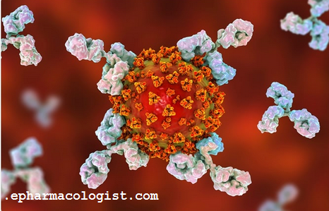 مناعة قوية للخلايا التائية لدى الأفراد فى مرحلة النقاهة مع COVID-19