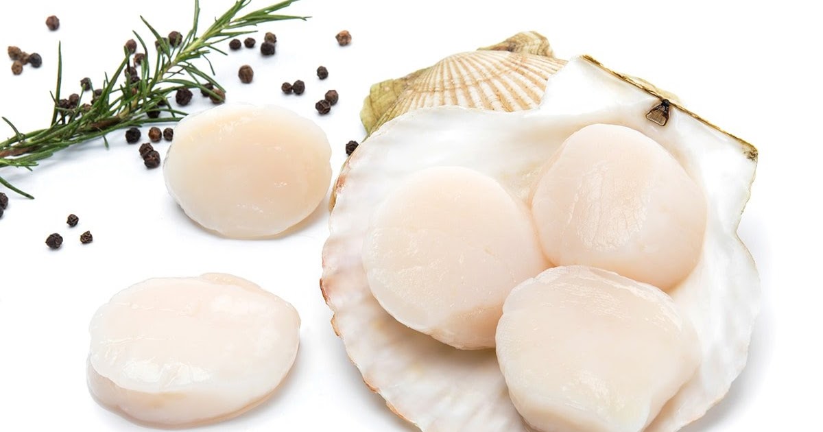 USA SCALLOP CV.SULIHARTAMAS SUPPLIER DAGING SAPI