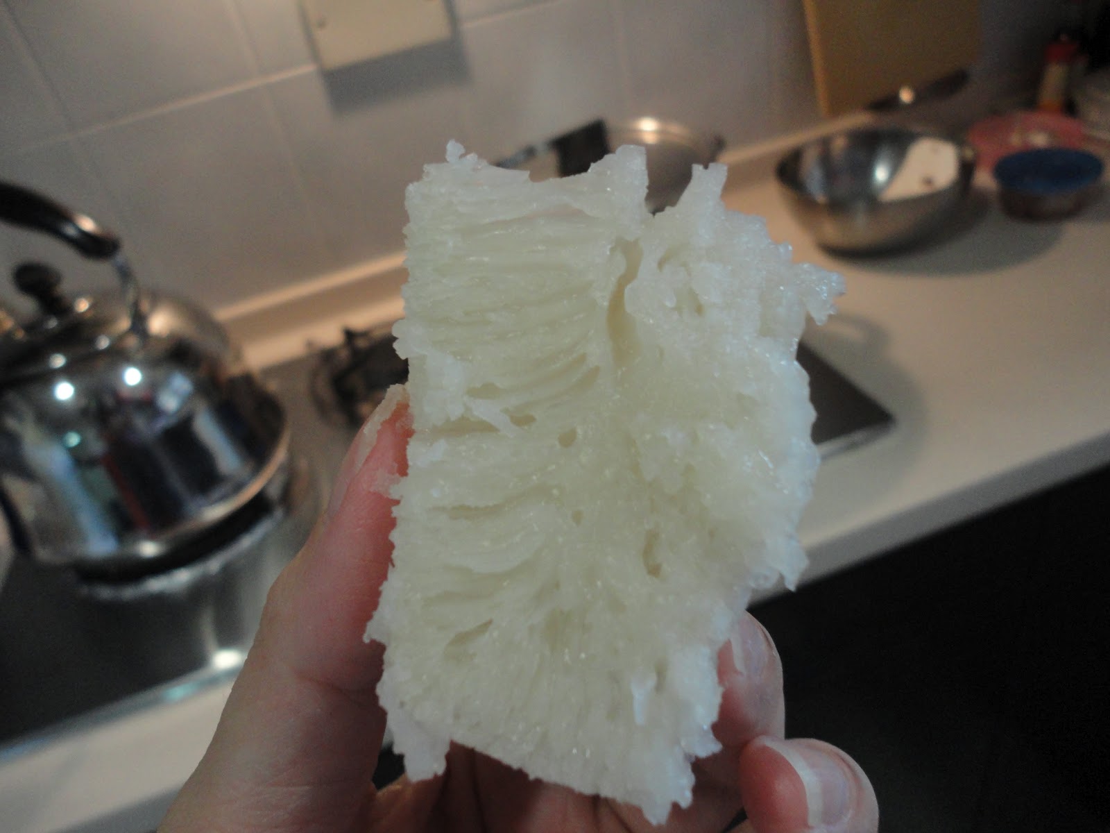 Sweet Day's Lifebook Chinese White cake (Bak Tong Gou, 白糖糕