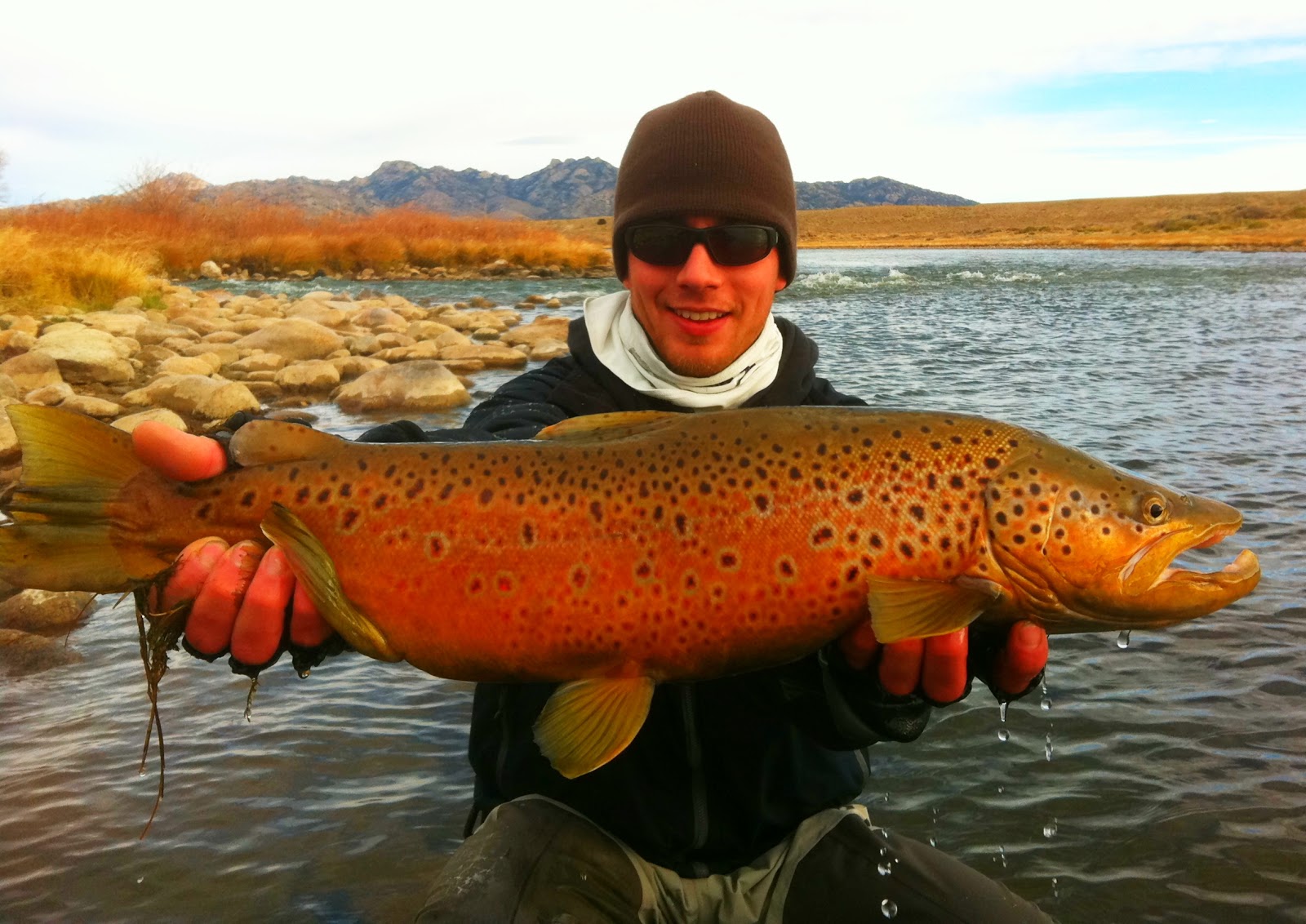 Captain's Blog Winter Edition Brown Trout On The Platte River, WY Nov. 2