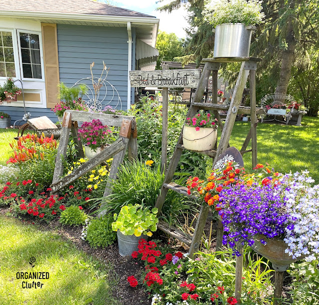 My Late June Flower Junk Garden Border With Planting Guide #junkgarden #flowergardening #annuals #perennials #plantingguide #flowerborder #gardendecor #farmhousegarden