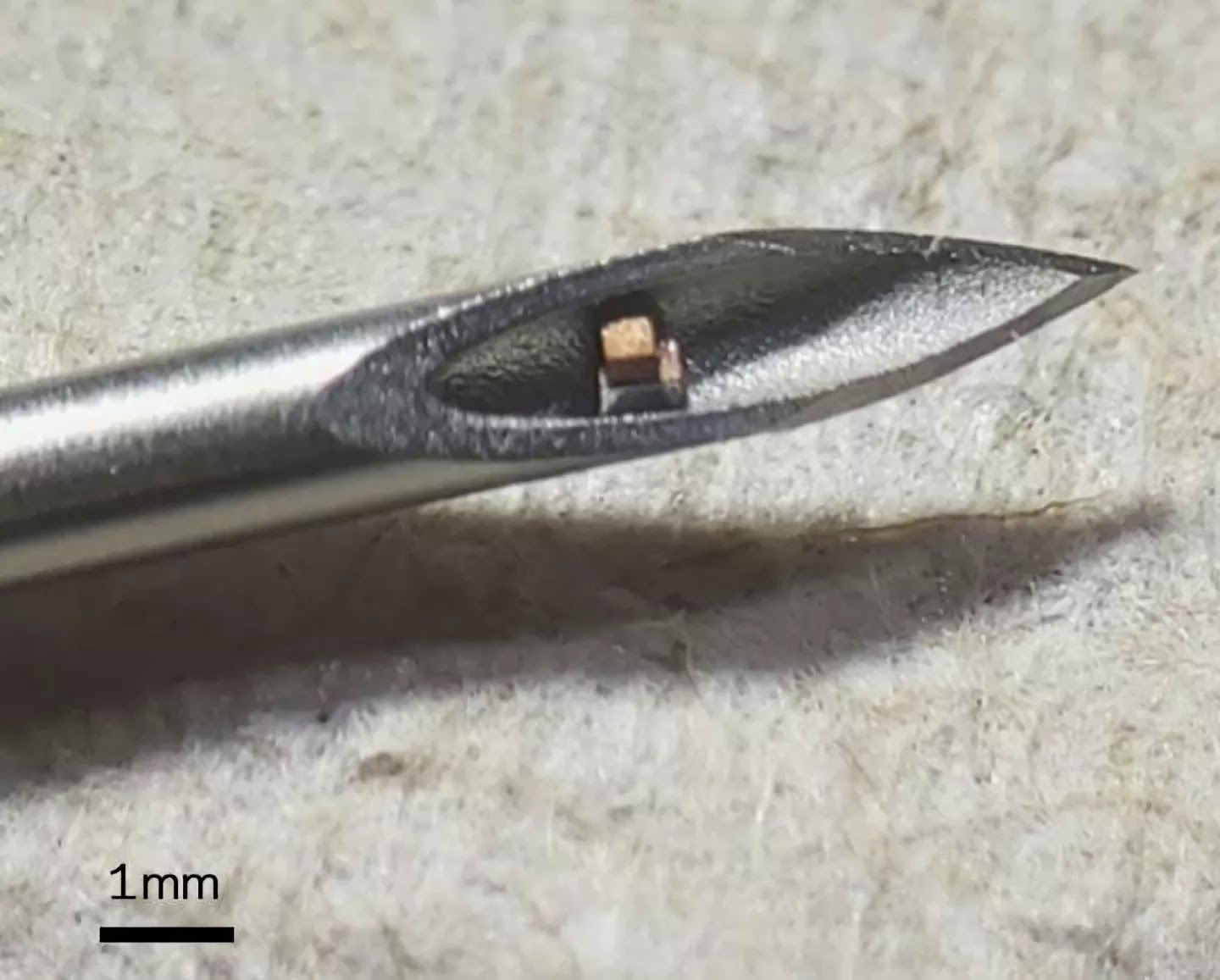 Các nhà nghiên cứu phát triển một con chip siêu nhỏ, có thể tiêm để theo dõi tình trạng sinh lý