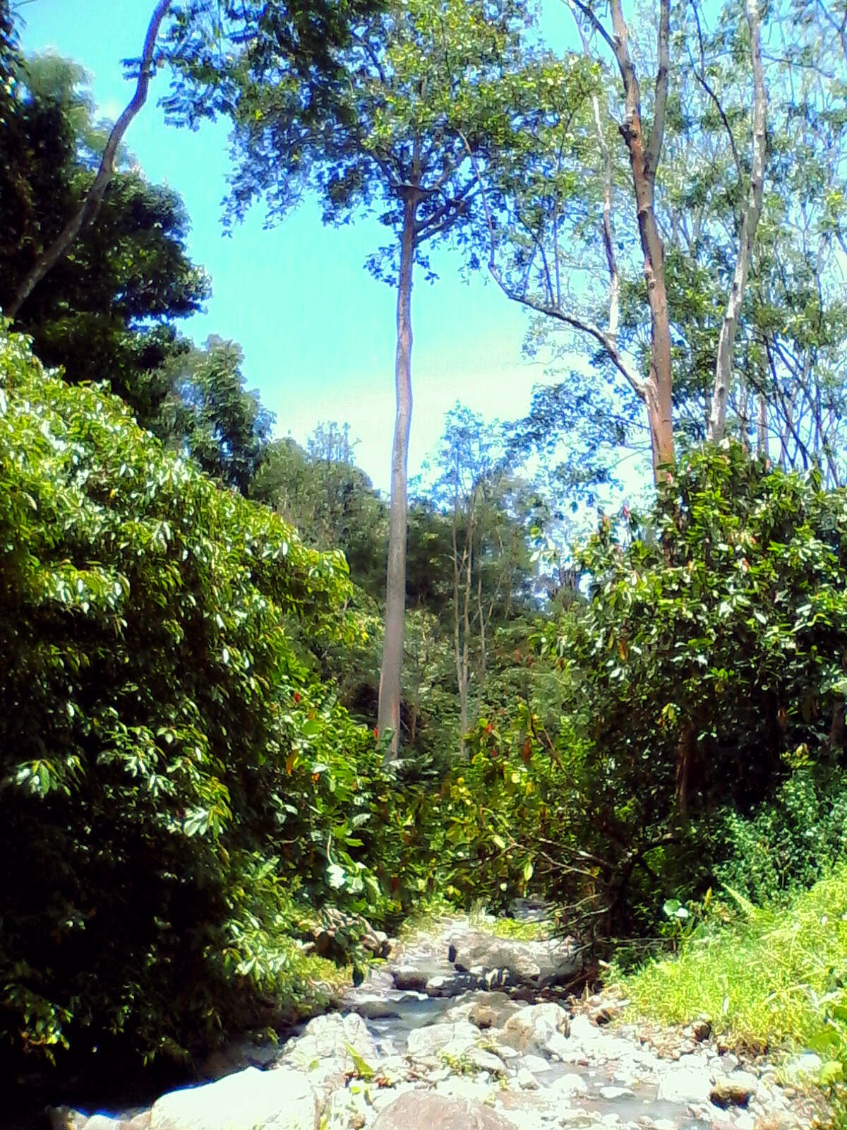 Gunung Betung Lampung dan Berbagai Mitos yang Menyertainya - LandakTerbang
