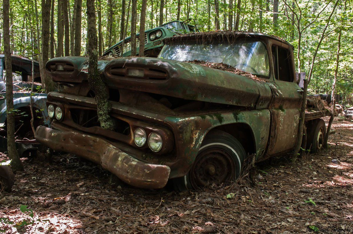 22 Amazing Photographs of Trees Growing Through Classic Cars ~ Vintage