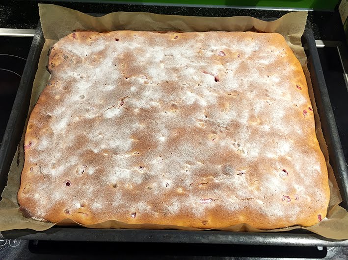 16 (Eins Sechs): REZEPT - Johannisbeer-Joghurt-Blechkuchen