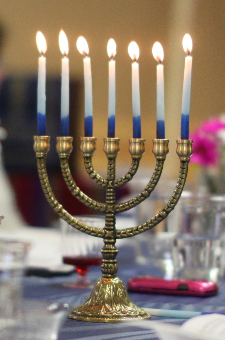 Case for the Seven Branch Menorah Land of Honey (With images