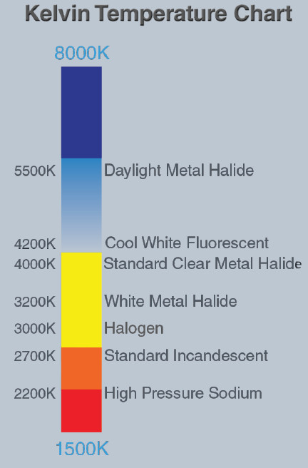 Microscope World Blog: Factors Affecting Color Reproduction in ...