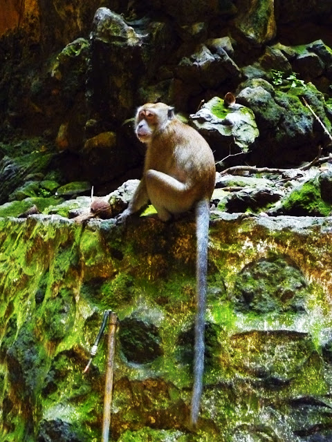 monkeys inside batu caves