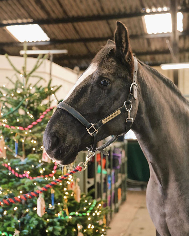 Home for Christmas: Magical Holiday Inspiration for Winter 2020