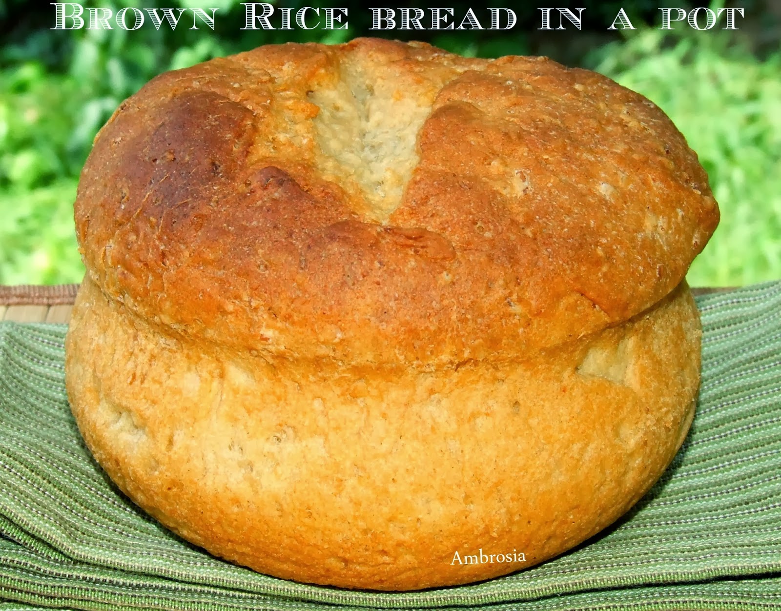 Brown Rice Bread in a Pot (Vegan) | Ambrosia