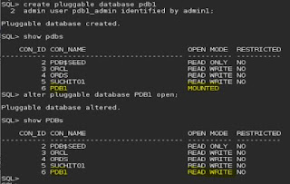 Oracle DBA 19c - How to: Create Pluggable Database (PDB) in 12c using ...
