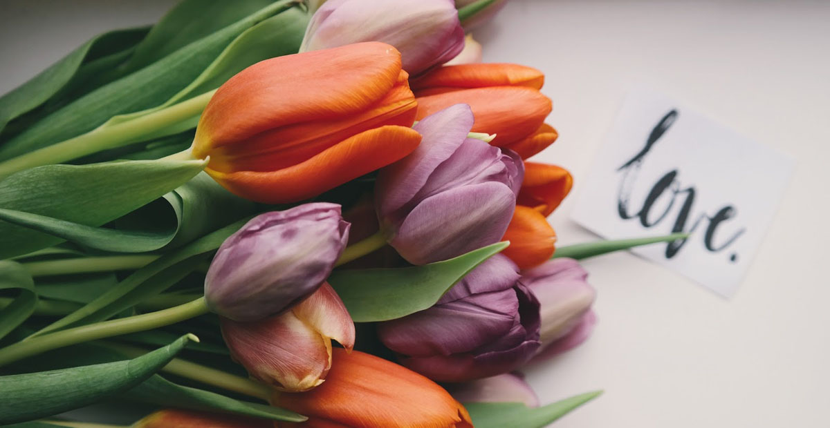 ayat-alquran-tentang-cinta