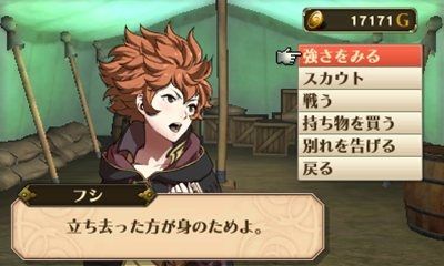 Fire_Emblem_Awakening_Screenshot_3DS_10.jpg