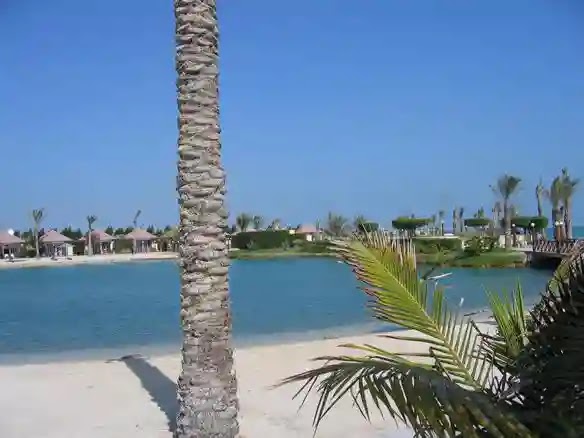 حديقة الملك فيصل بالطائف اهم الانشطة + مواعيد الدخول 2020 حديقة الملك فيصل بالطائف اهم الانشطة + مواعيد الدخول 2020