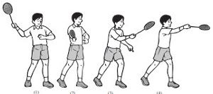 Dalam permainan bulu tangkis, jenis pukulan pendek yang dilakukan di depan net dan diarahkan ke depan net di daerah lapang lawan dinamakan