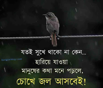 Bangla Romantic  sms collection