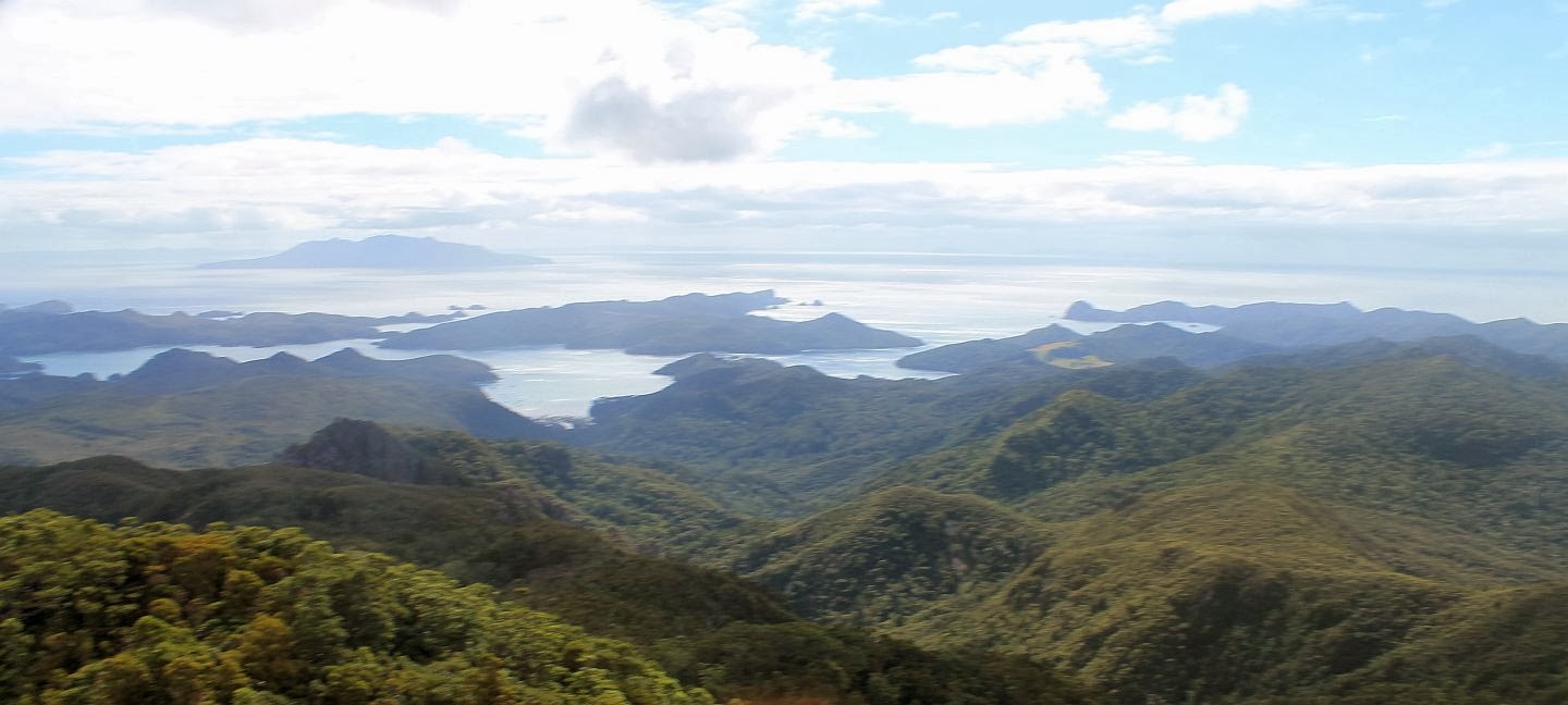 Harlequin Cruising Blog Opua Great Barrier Island