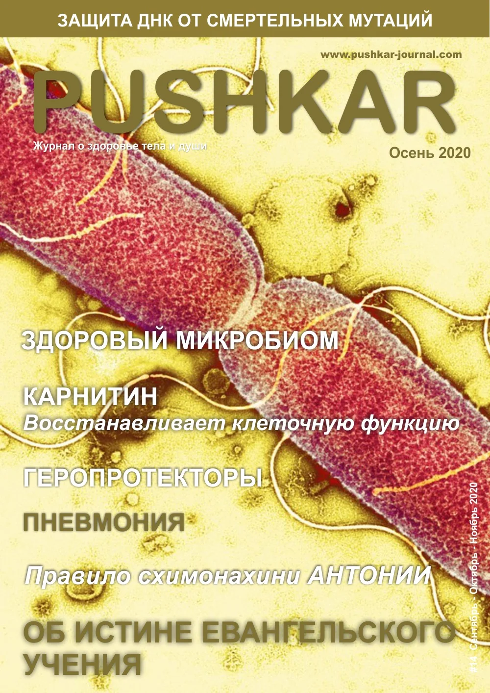 ЖУРНАЛ PUSHKAR №14 ОСЕНЬ 2020.