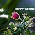 Top 10 Good Morning Wednesday Images, Greetings, Pictures for whatsapp - bestwishespics